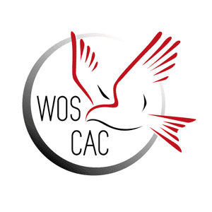 Logo Design WOS